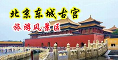老女人的大肥穴真好玩的AV中国北京-东城古宫旅游风景区